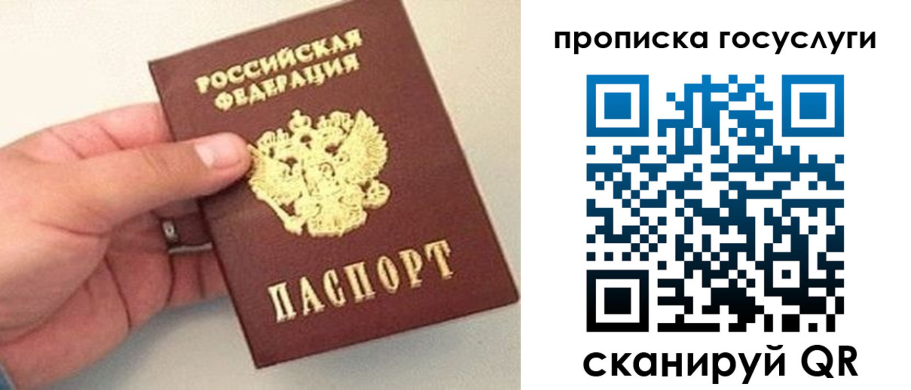 где прописаться в Петровске